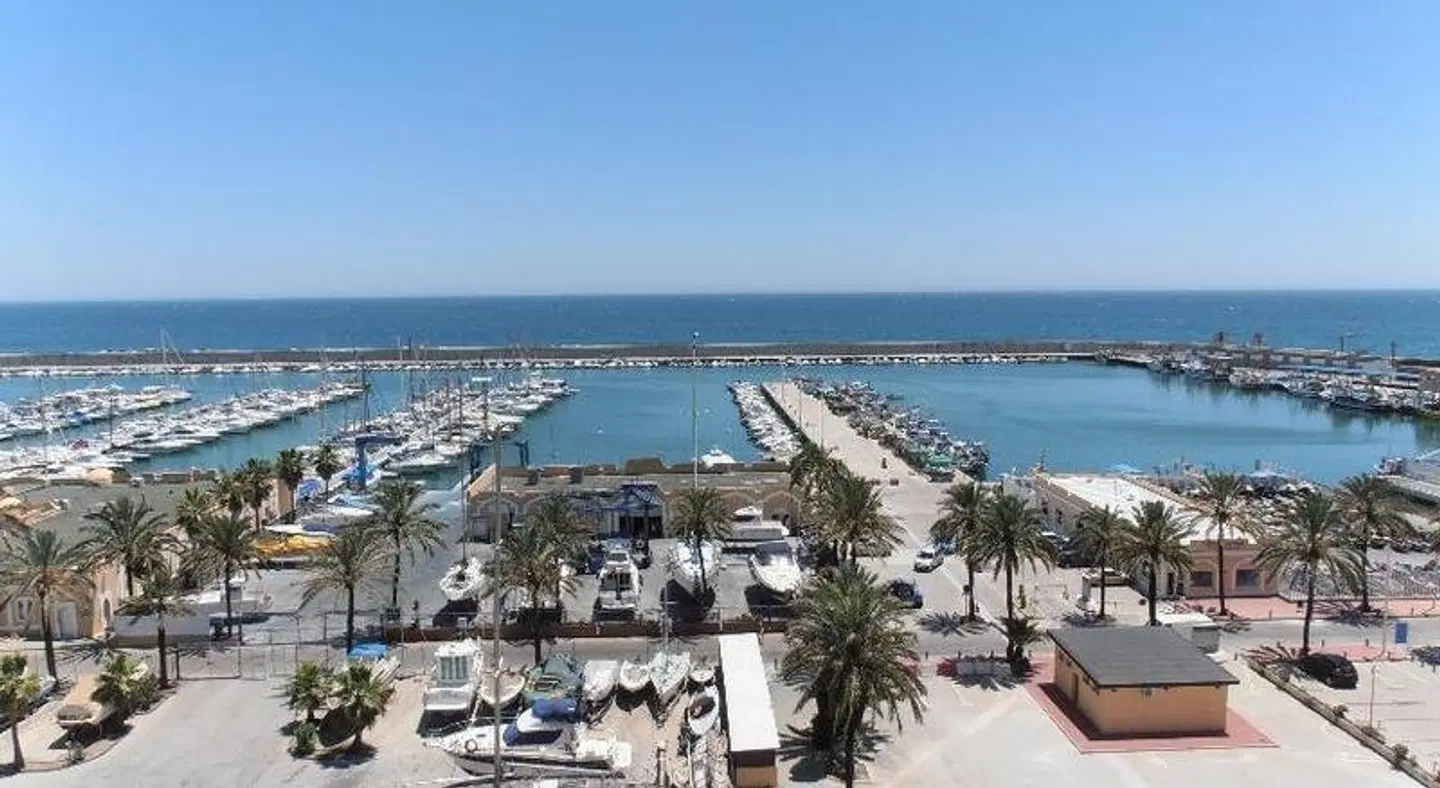 Las Palmeras EXTERIOR