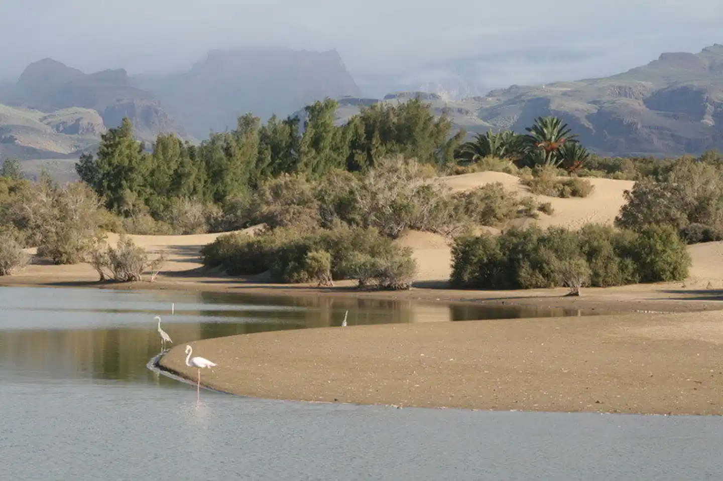 Apartamentos El Capricho Landschaft