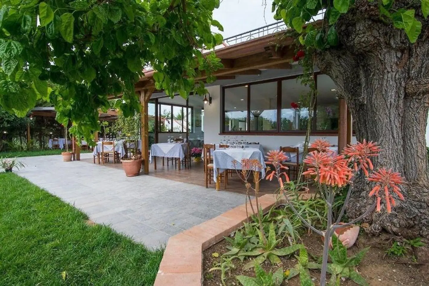 Cilentiamoci Terrasse