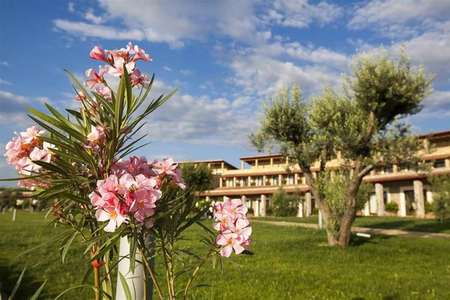 Eco Resort Dei Siriti Garten