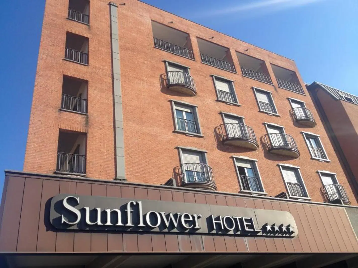Sunflower EXTERIOR
