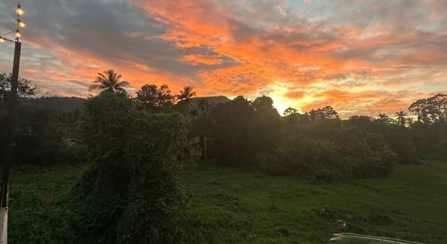 Samui Zenity Hotel LANDSCAPE