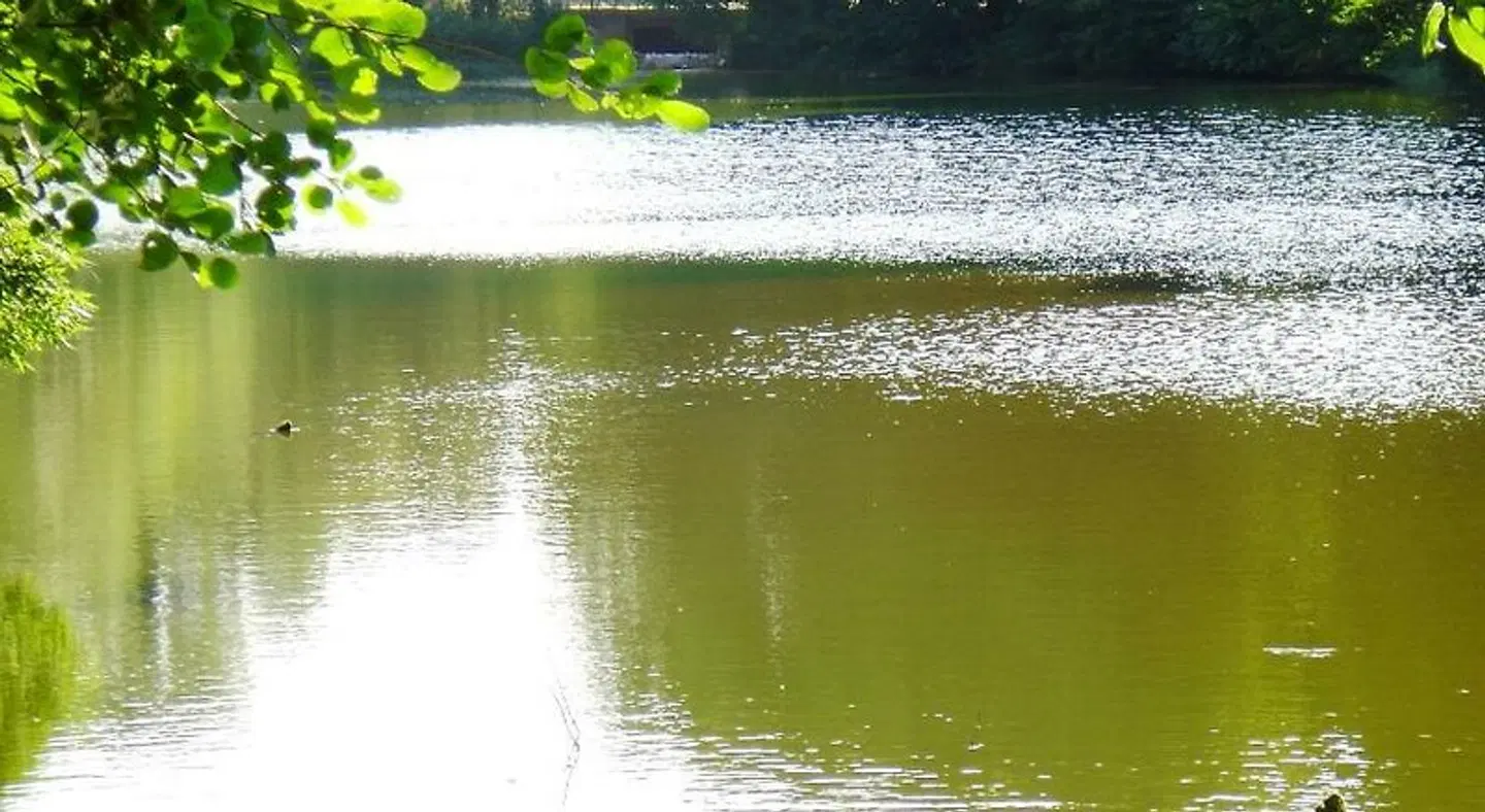 Carmina am See Strand