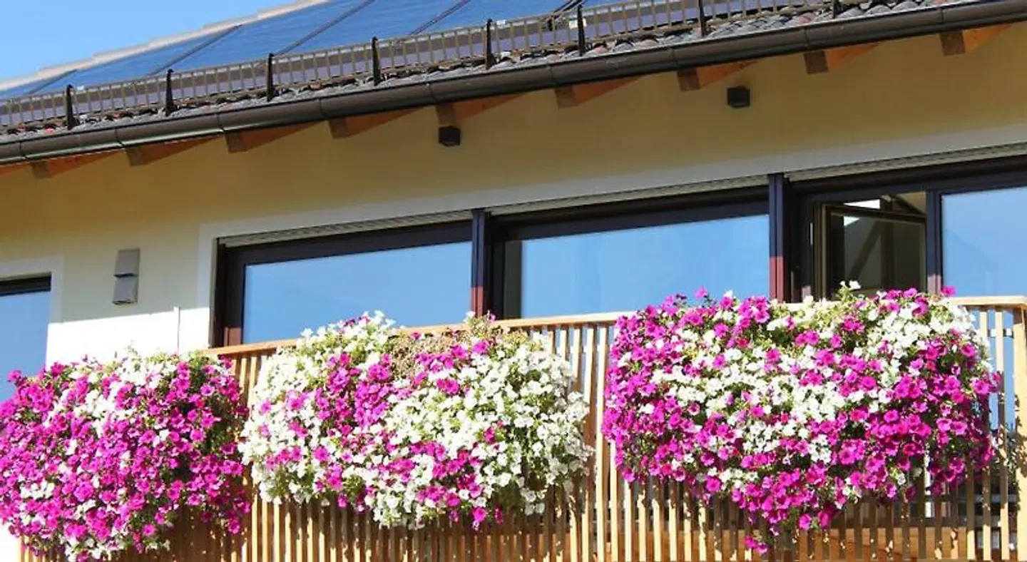Villa Tanja EXTERIOR