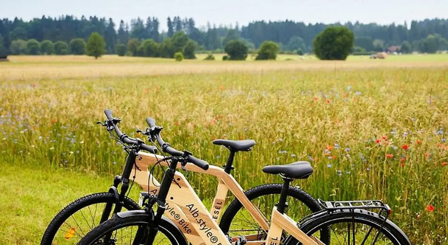Widmann's Löwen SPORTS_AND_LEISURE