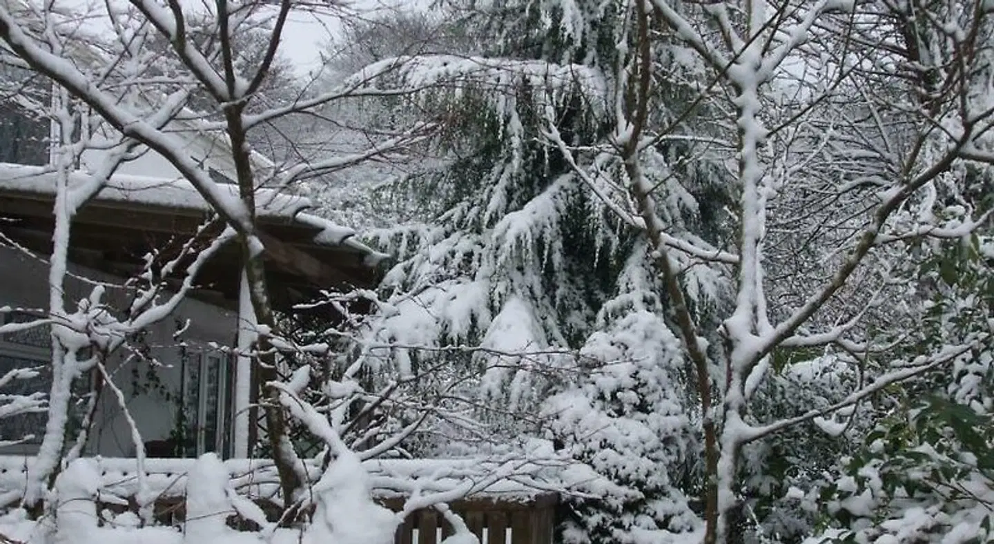 Cwmbach Guest House LANDSCAPE