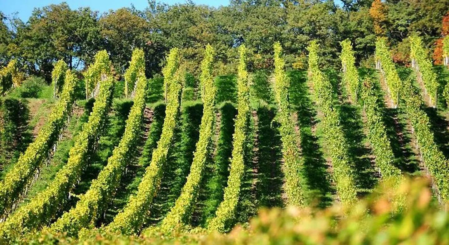 Heitlinger Hof LANDSCAPE
