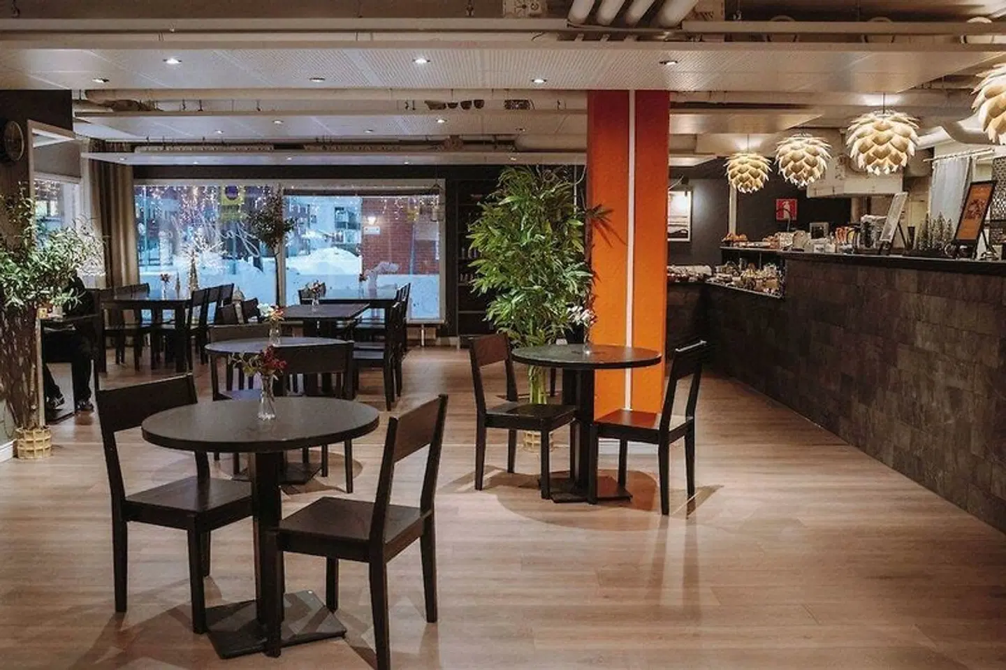 Golden Circle Suites Bar
