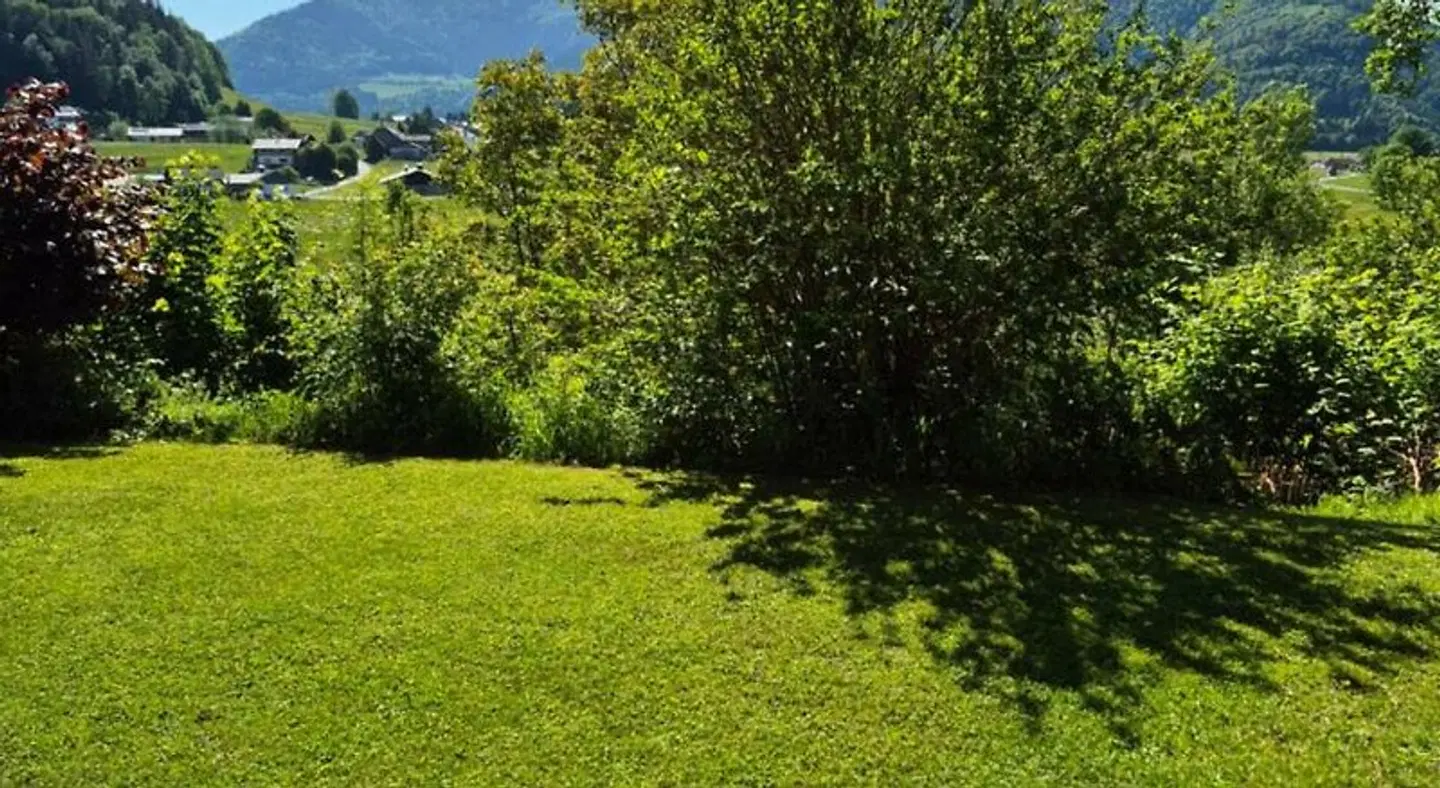 Alpenblick Pension LANDSCAPE