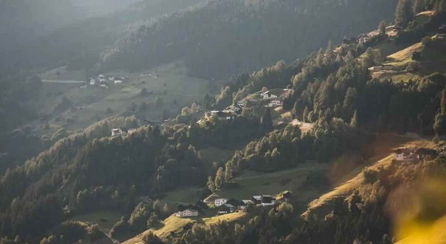 Bergwiesenglück LANDSCAPE