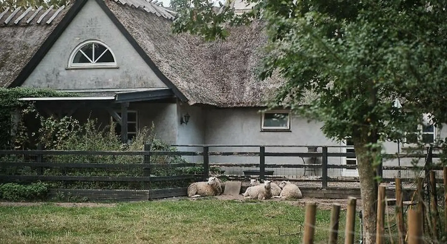 Askegården Apartments Tiere