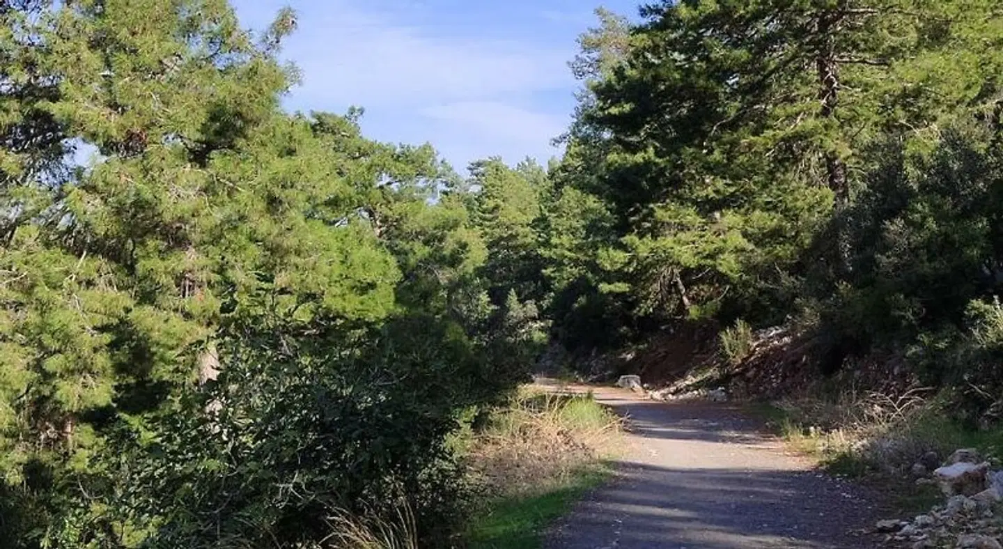 Salonika Suites Garten