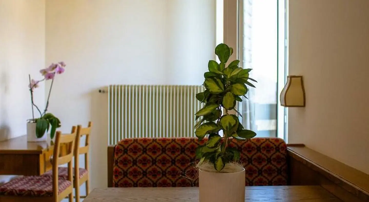 Albergo La Ruscoletta ROOM_EXAMPLE
