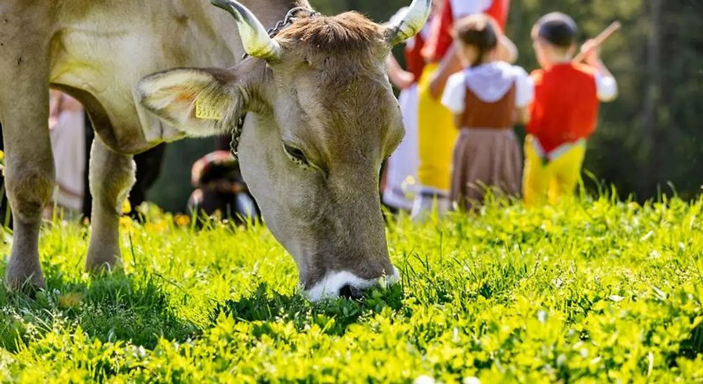 Hotel- Restaurant Krone Tiere