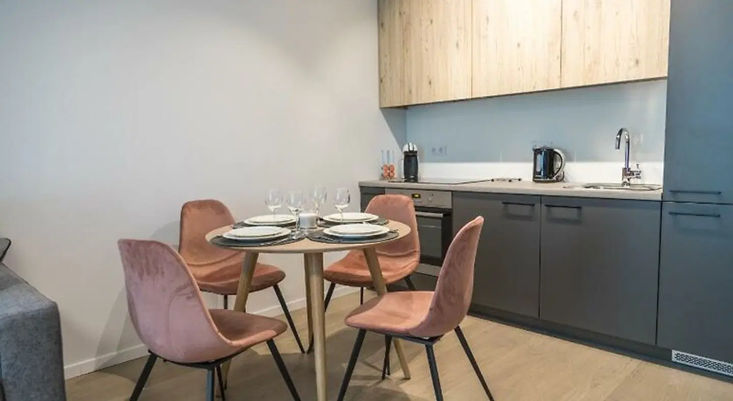 Apartments Laisve Konferenz