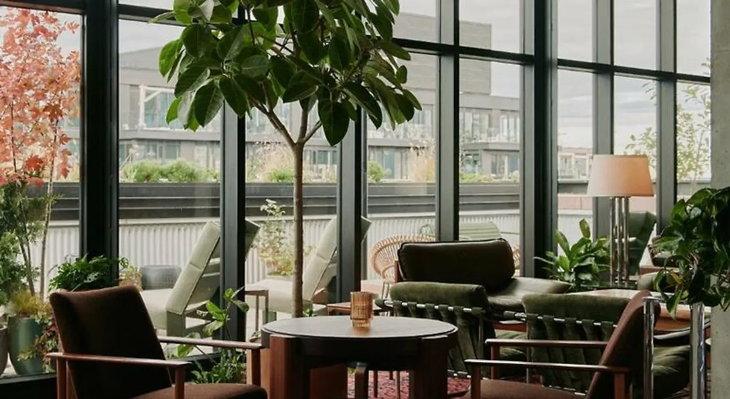 Ace Hotel Toronto Terrasse