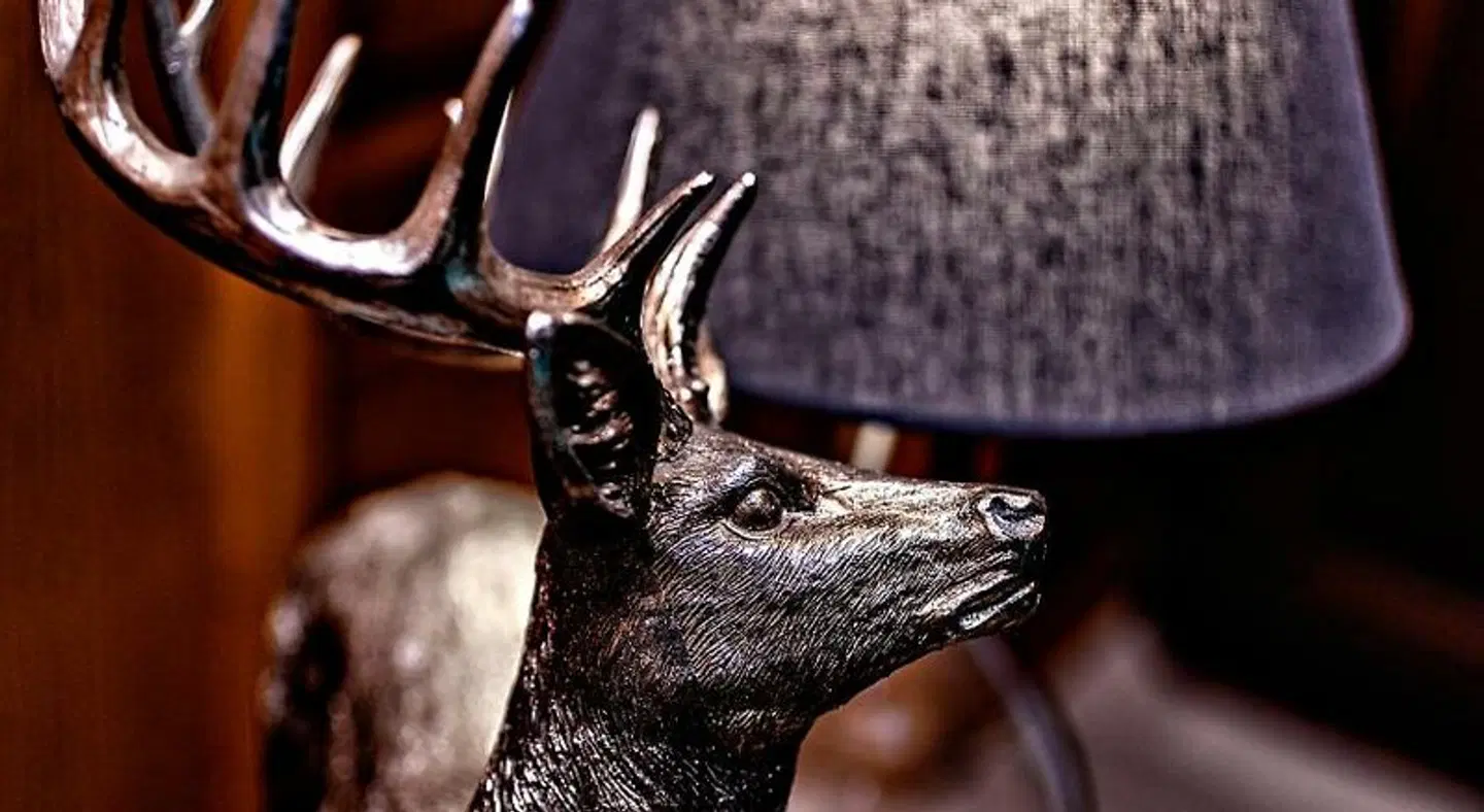 Villa Zollhaus Bed & Breakfast Tiere