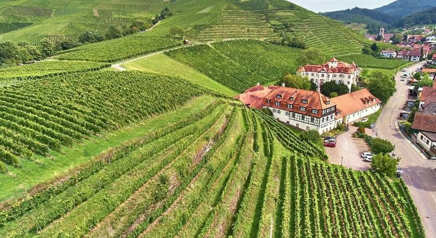 Hotel Residenz im Schloss Neuweier LANDSCAPE