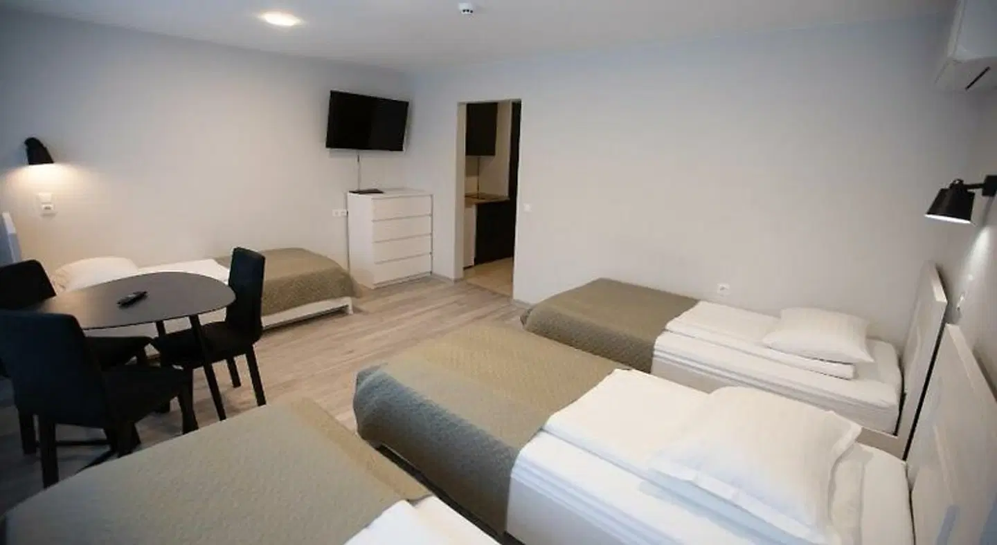 Dzukija Hotel ROOM_EXAMPLE