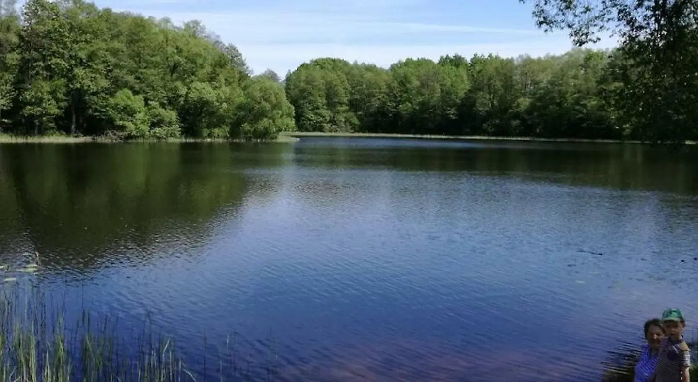 Grieto 5 Manor LANDSCAPE