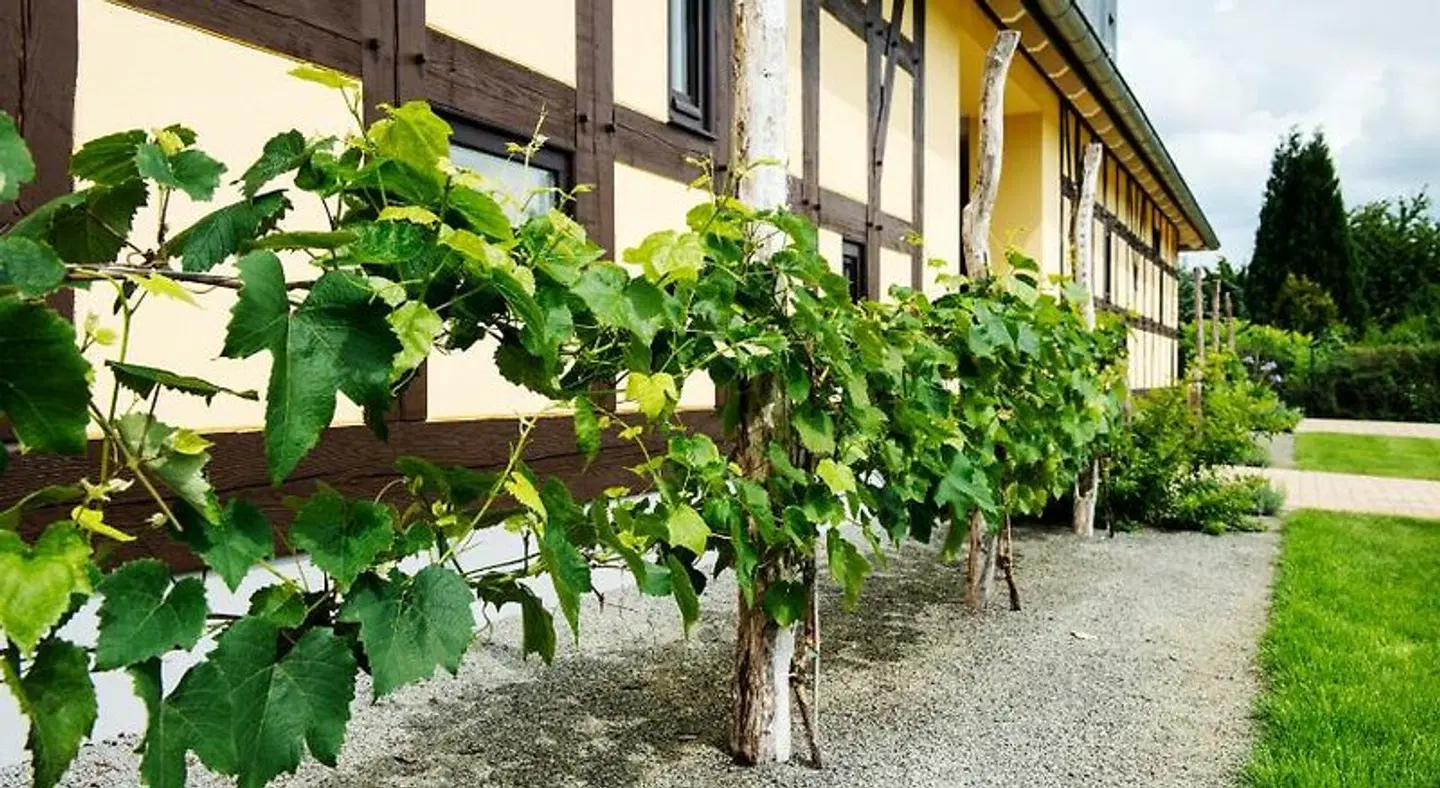 Quartier Rautenstock Garten