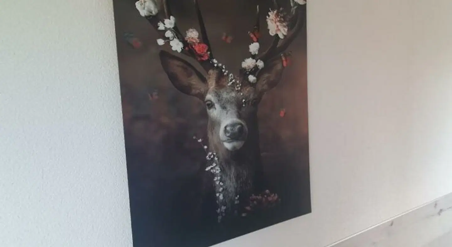 Zum Braunen Hirsch Tiere