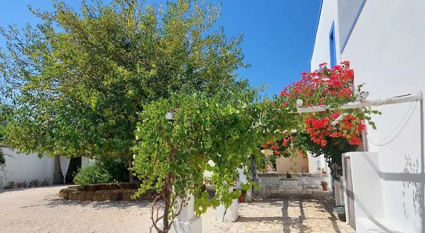 Masseria San Martino Terrasse