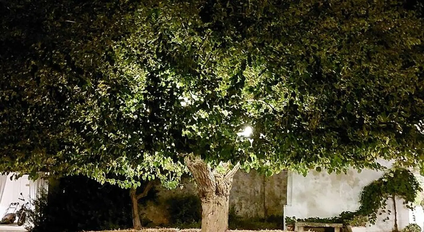 Masseria San Martino Garten