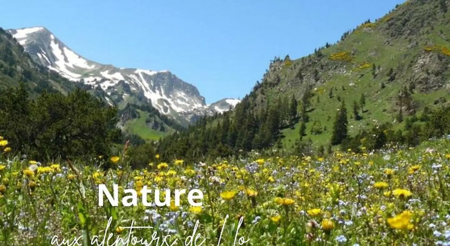 Gite de Llo LANDSCAPE