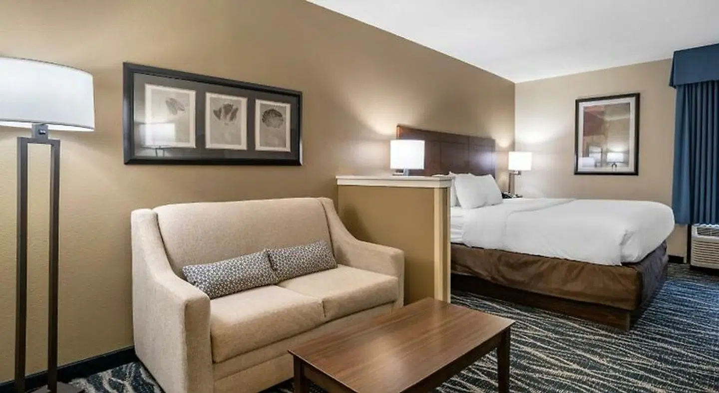 Comfort Inn and Suites Newark ROOM_EXAMPLE