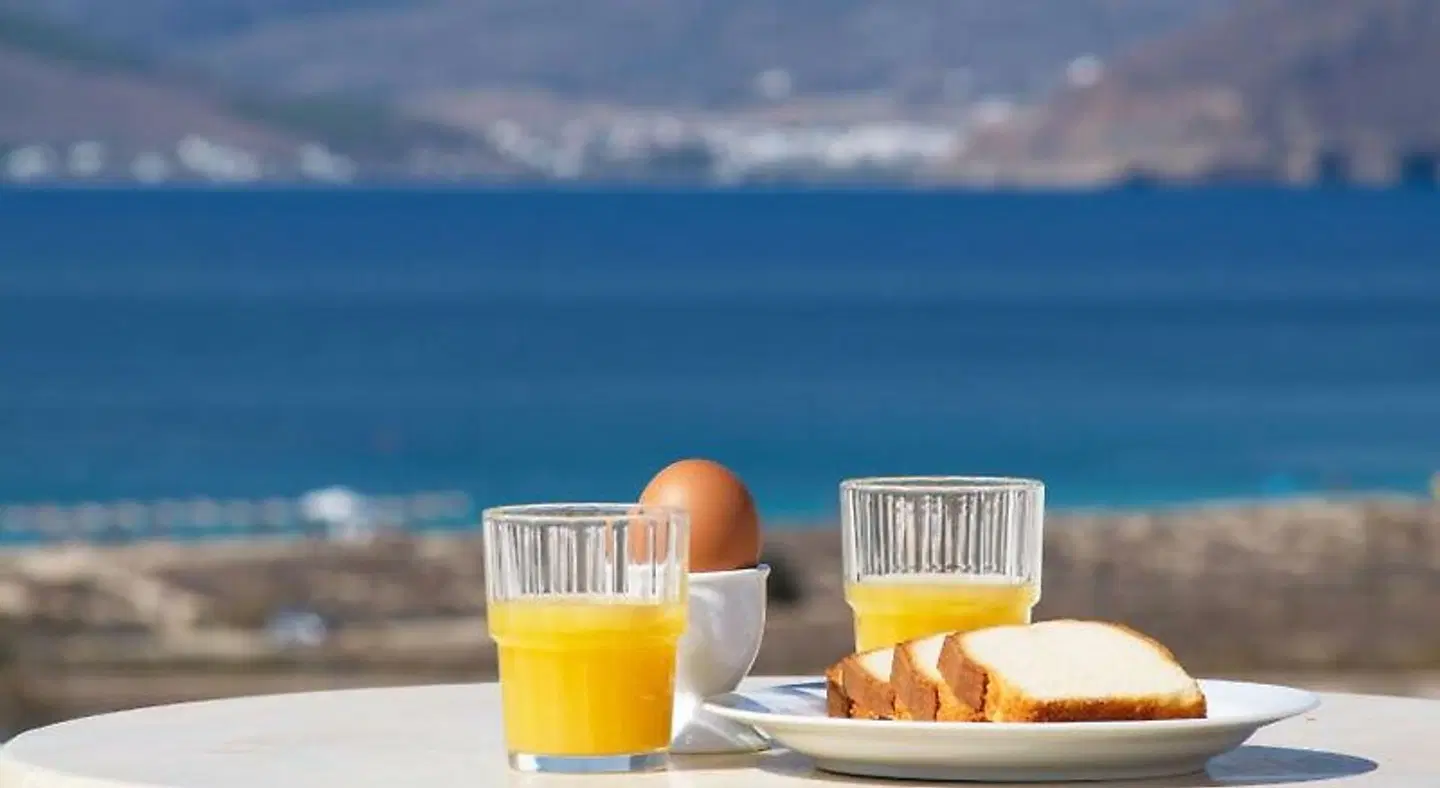 Camara Hotel Terrasse