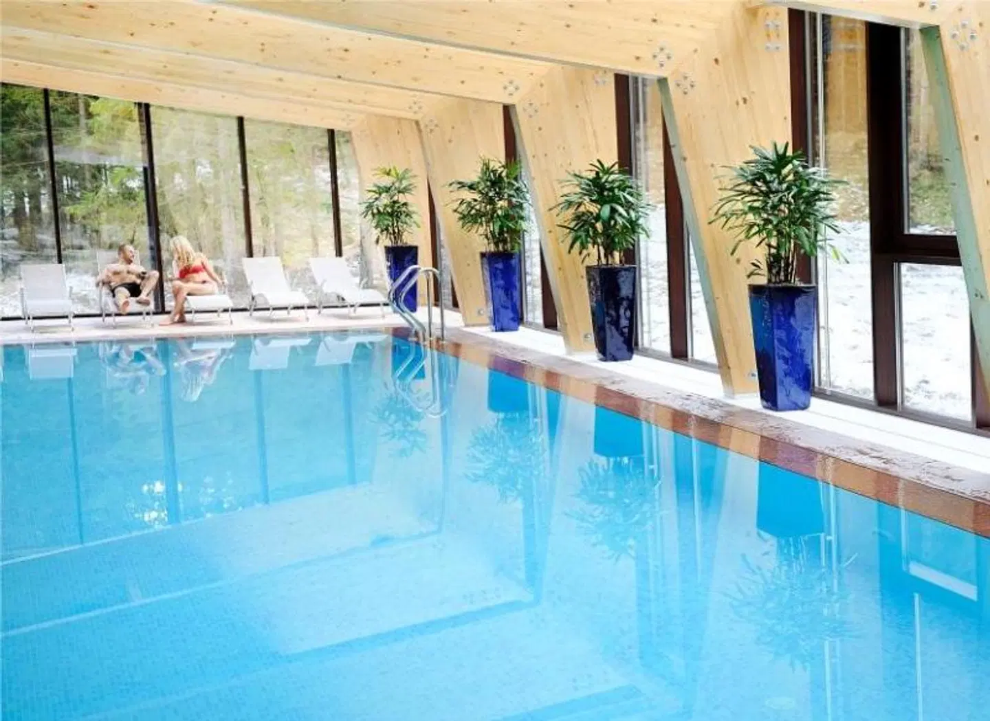 Wellness Hotel Chopok Hallenbad