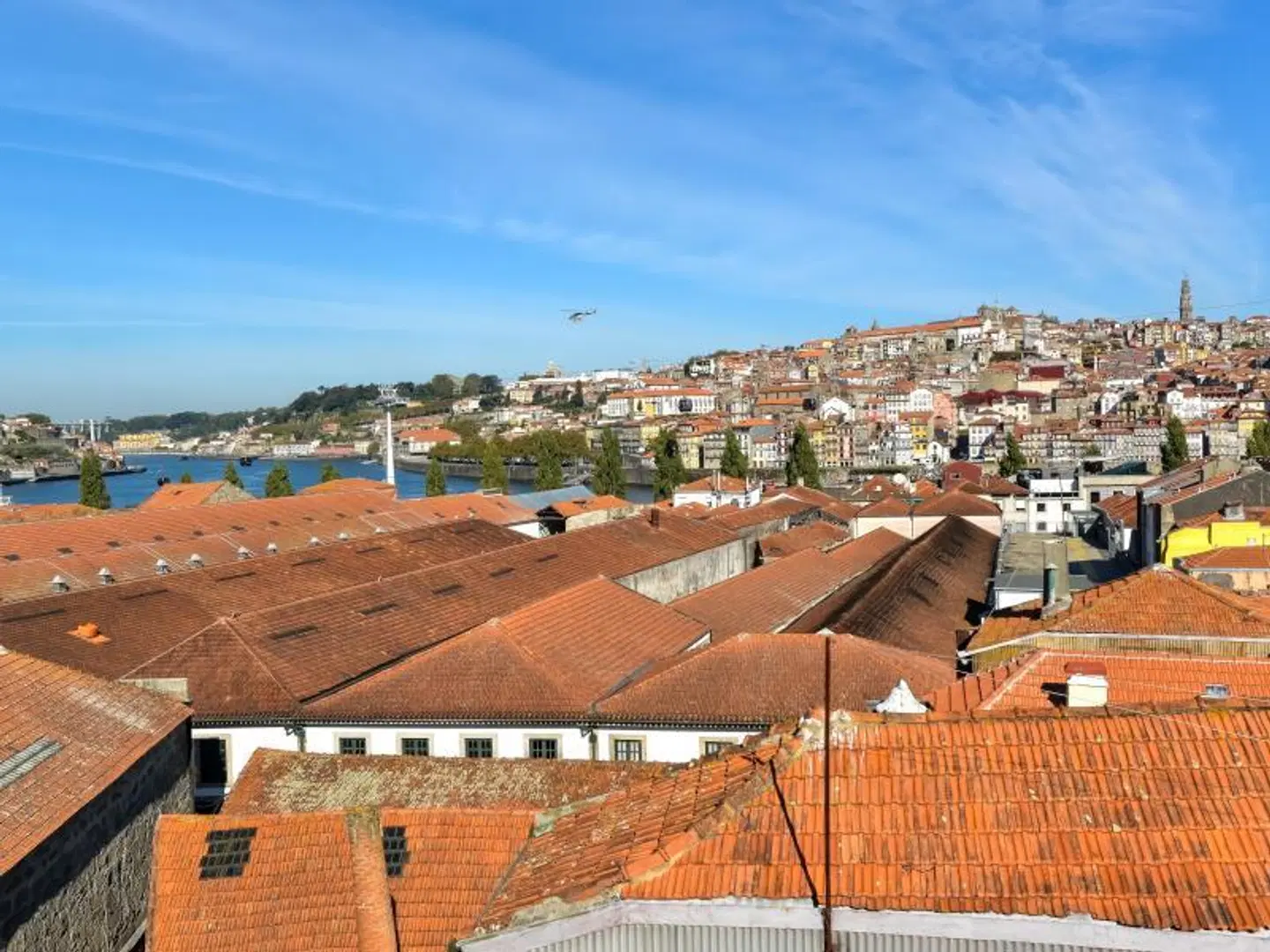 Reis de Gaia Terrasse