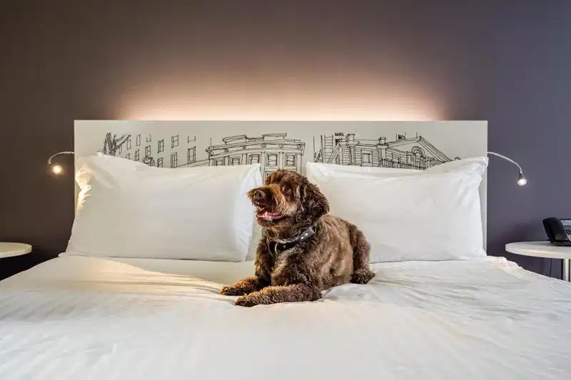 Innside by Melia Manchester – Hotelfoto