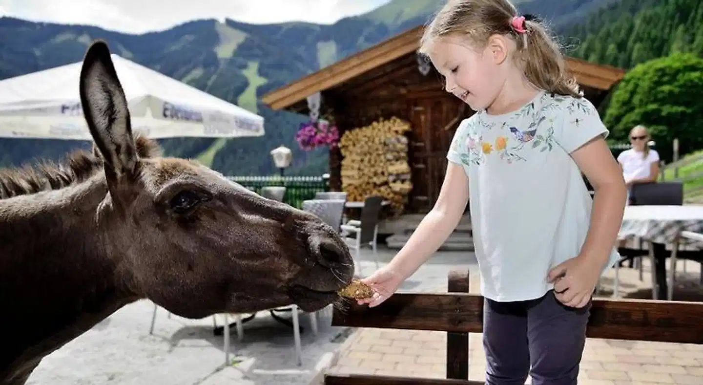 Berghotel Jaga-Alm Personen