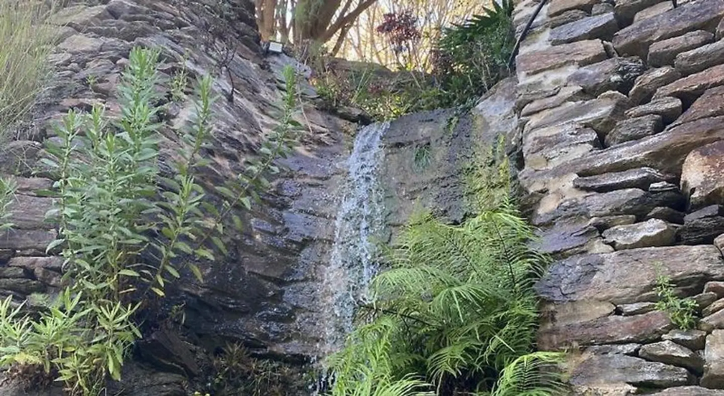 La Casa del Burro LANDSCAPE