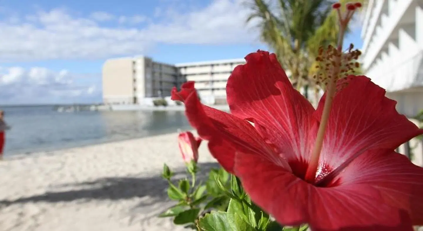 Princess Bayside Beach Hotel EXTERIOR