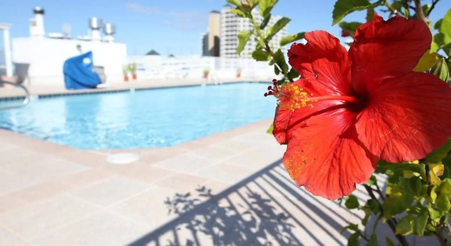Princess Bayside Beach Hotel OUTDOOR_POOL