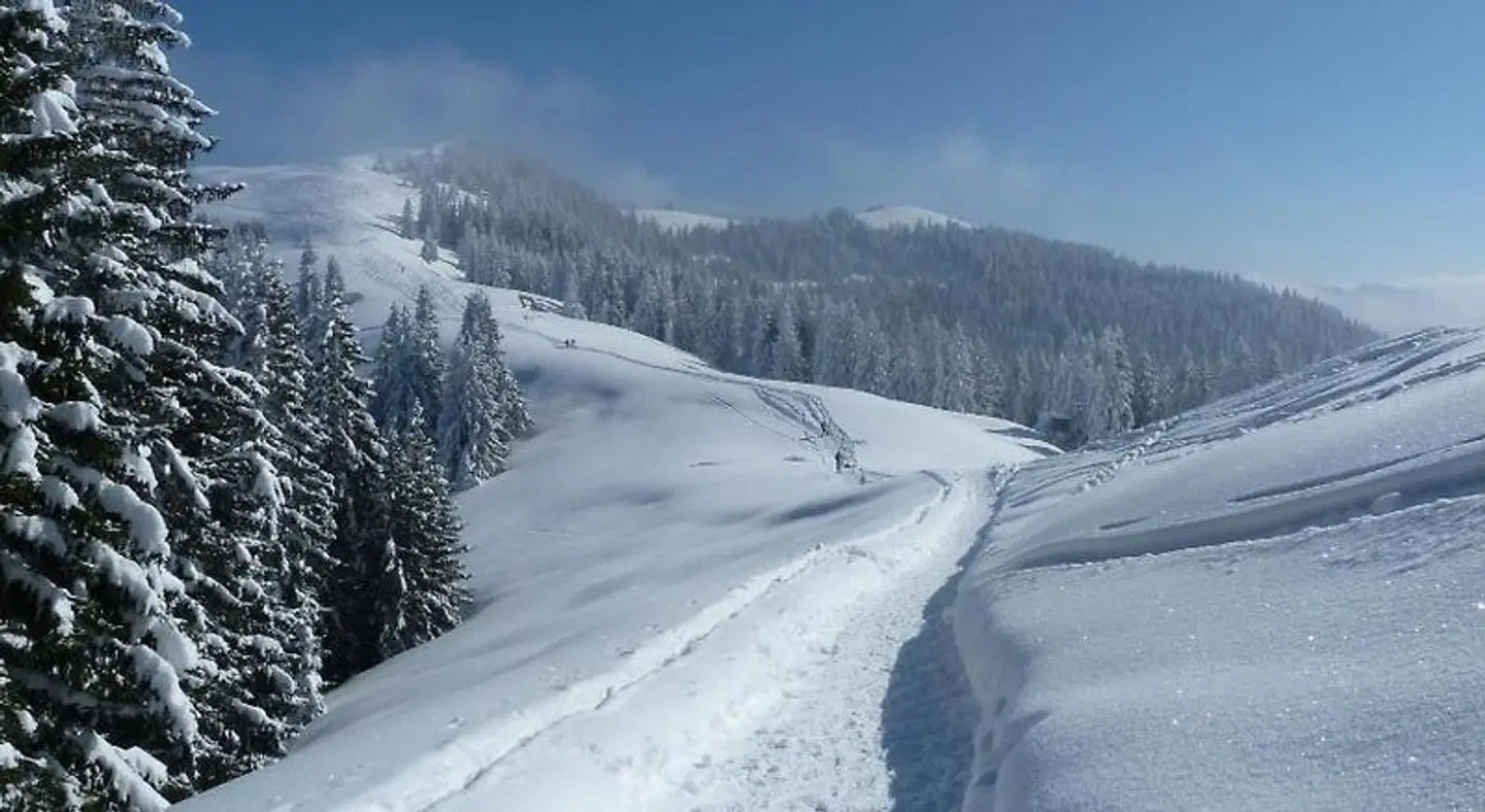 Alpina LANDSCAPE