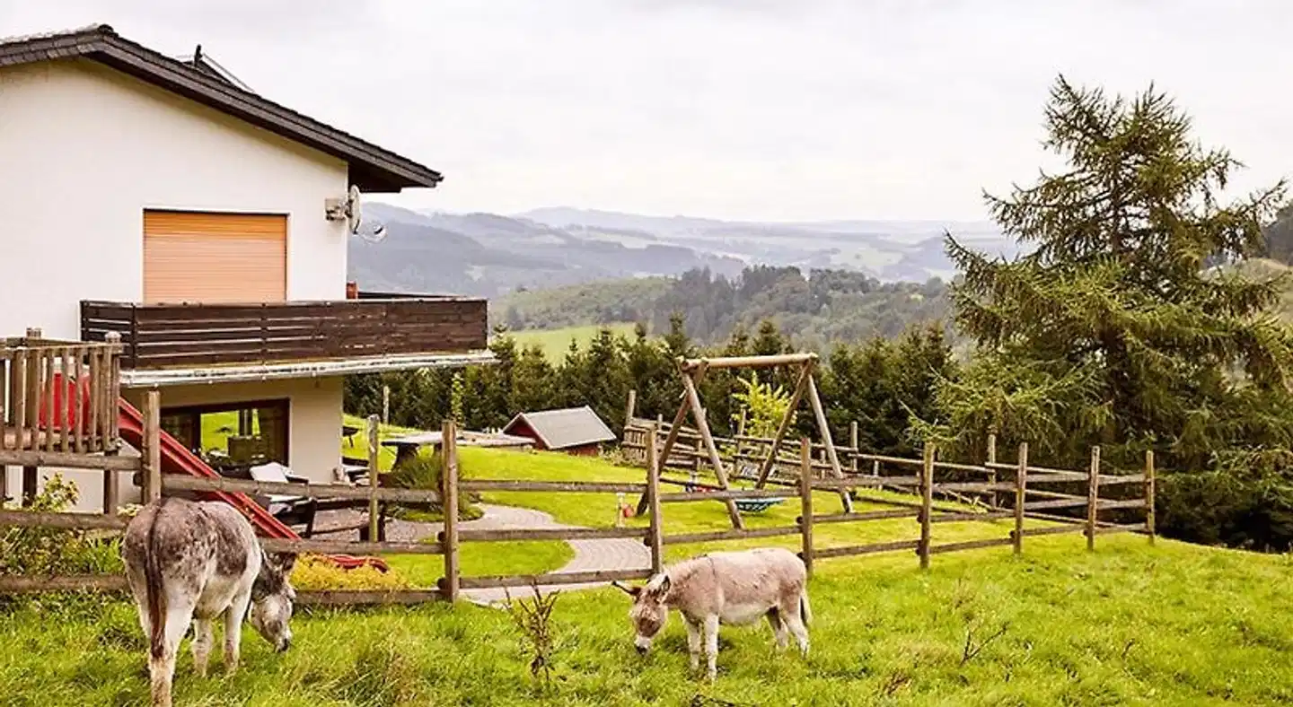 Pension Haus am Einberg Tiere