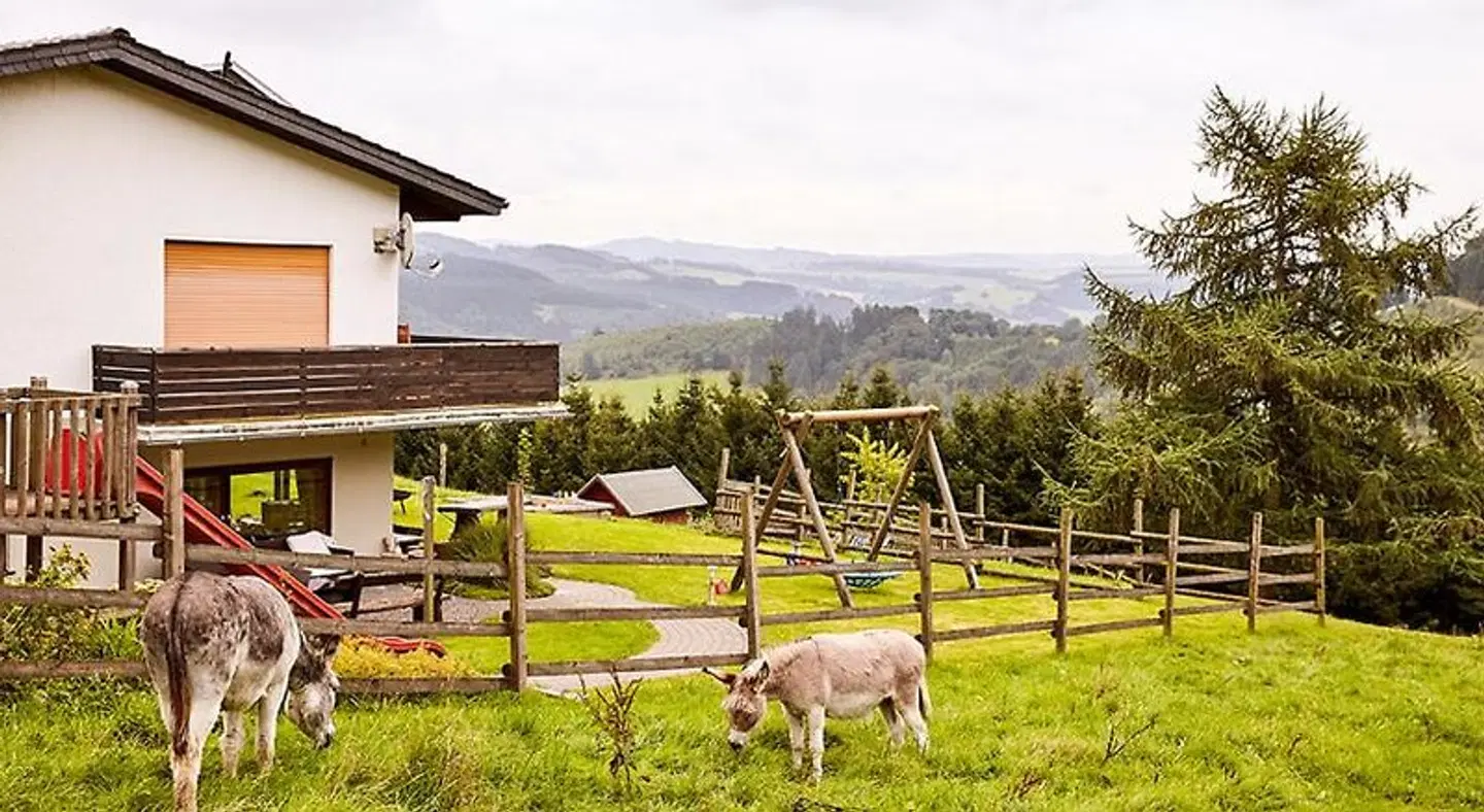 Pension Haus am Einberg Tiere