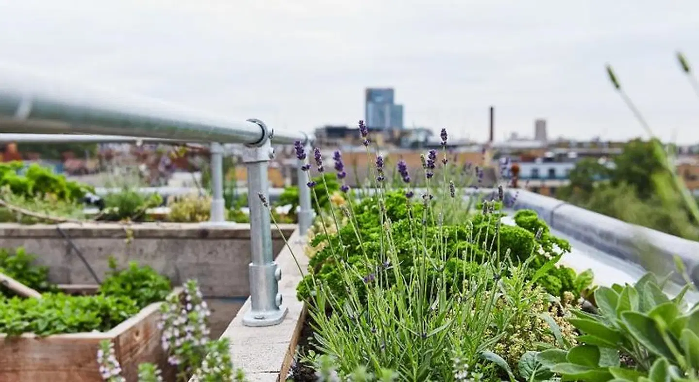 The Buxton Garten