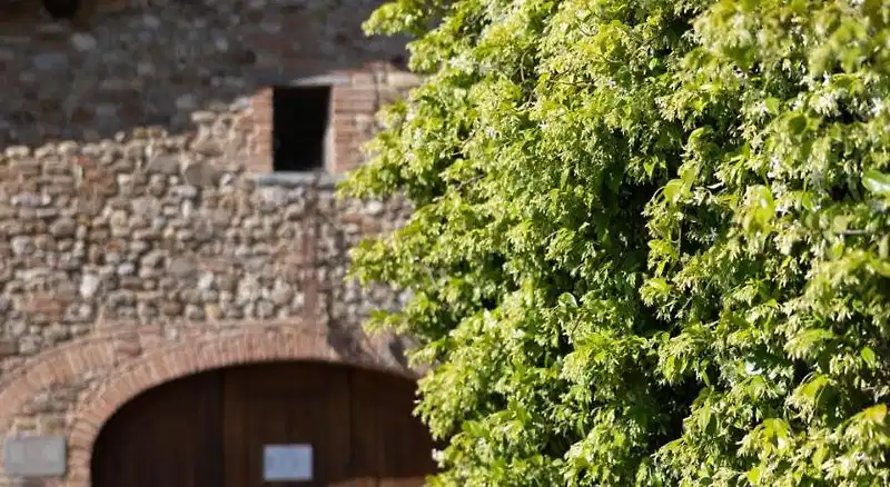Castello di Bibbione – Hotelfoto