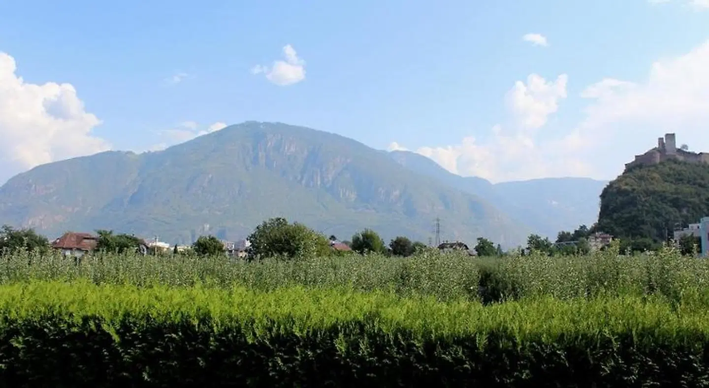 Gardenhotel Premstaller LANDSCAPE
