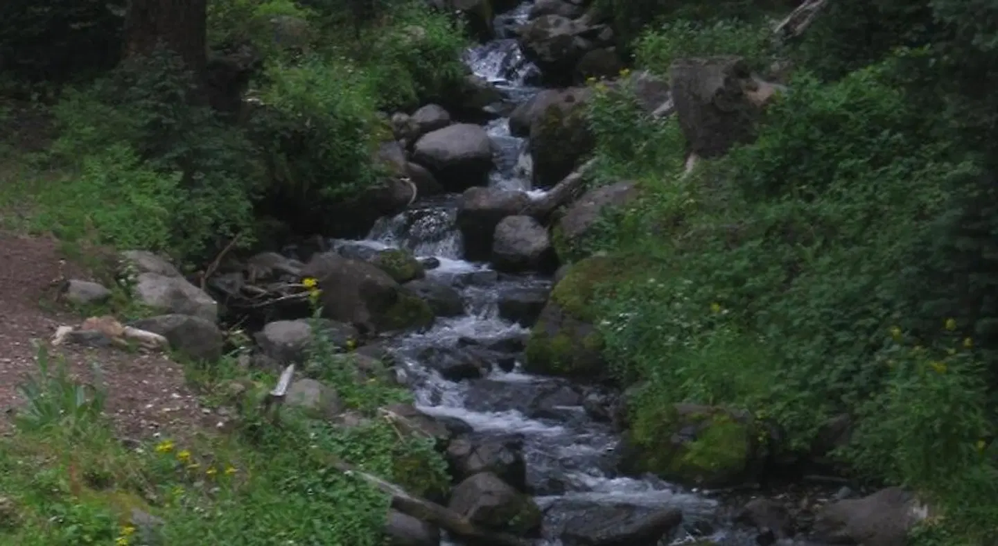 Alpine Inn of Pagosa Springs Garten