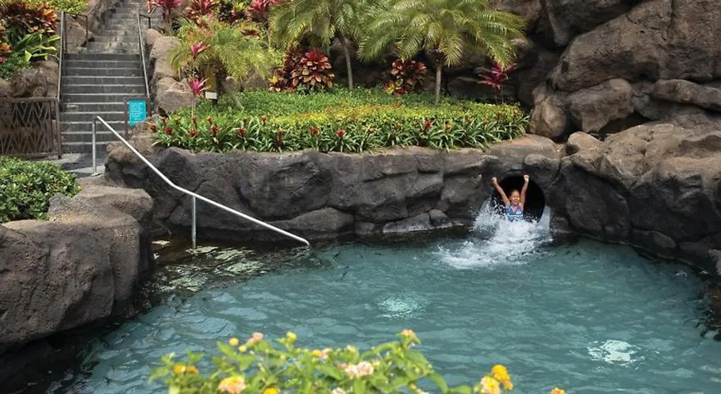 Marriott's Ko Olina Beach Club Tiere