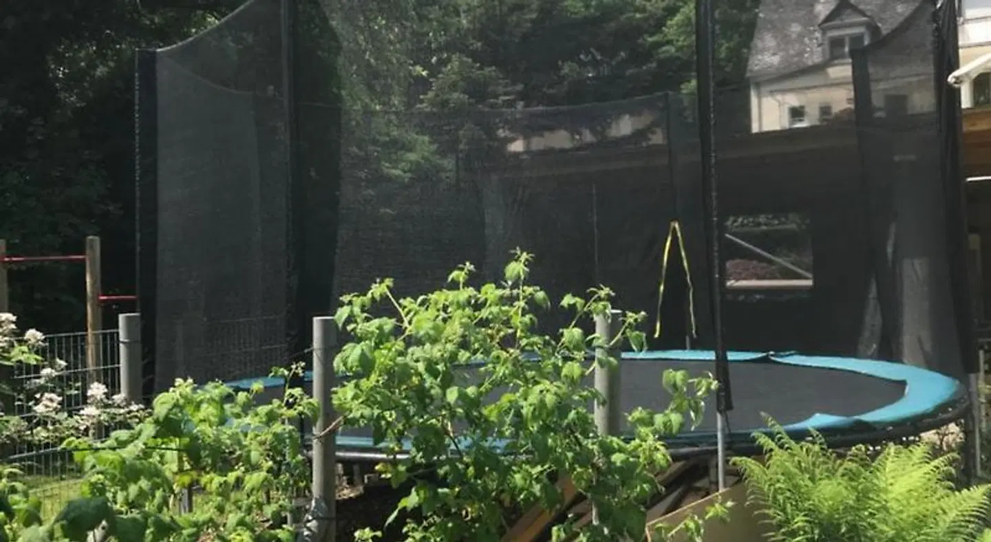 Bartz Garten