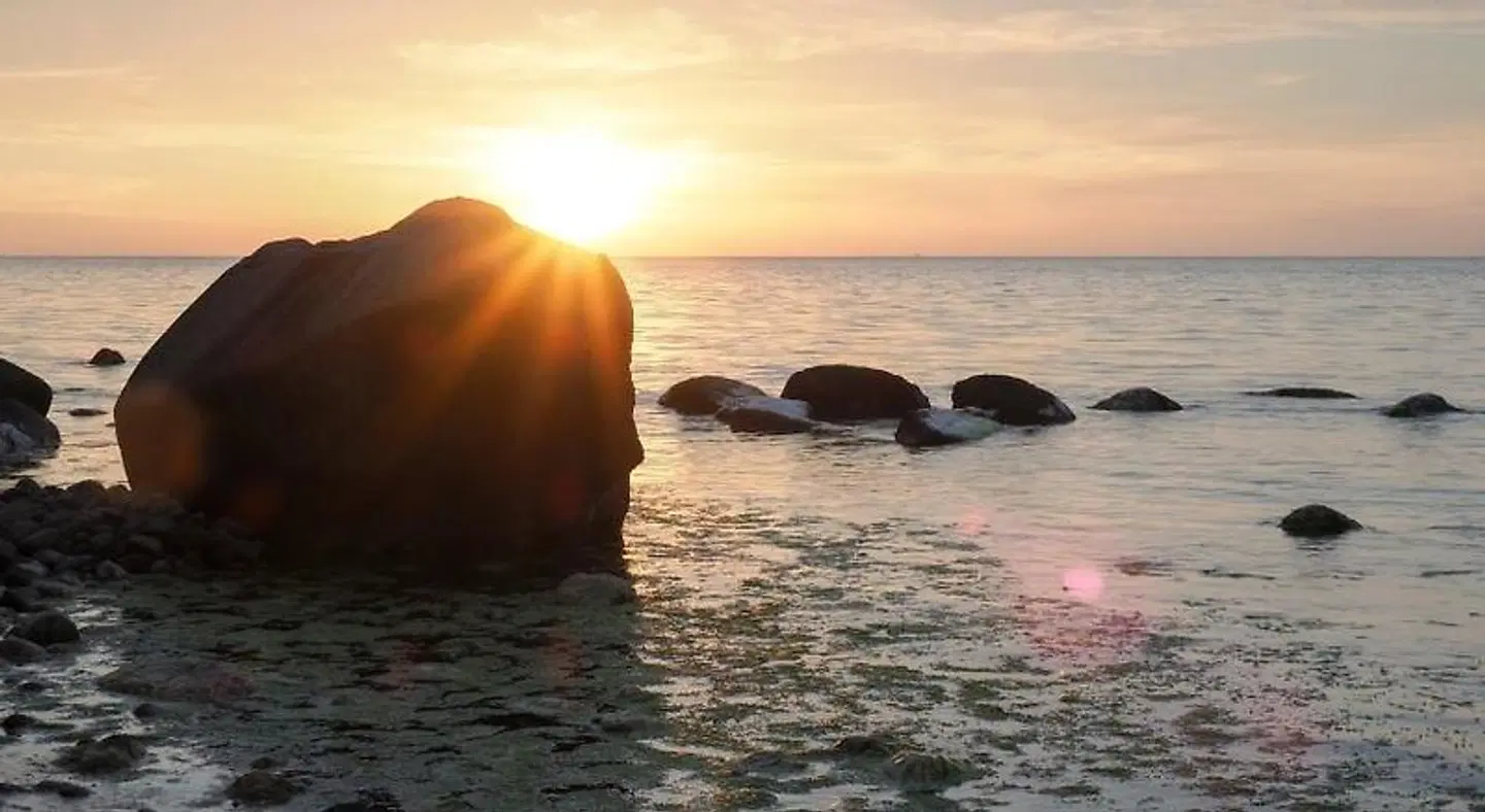 Hostel Haus 54 Tiere