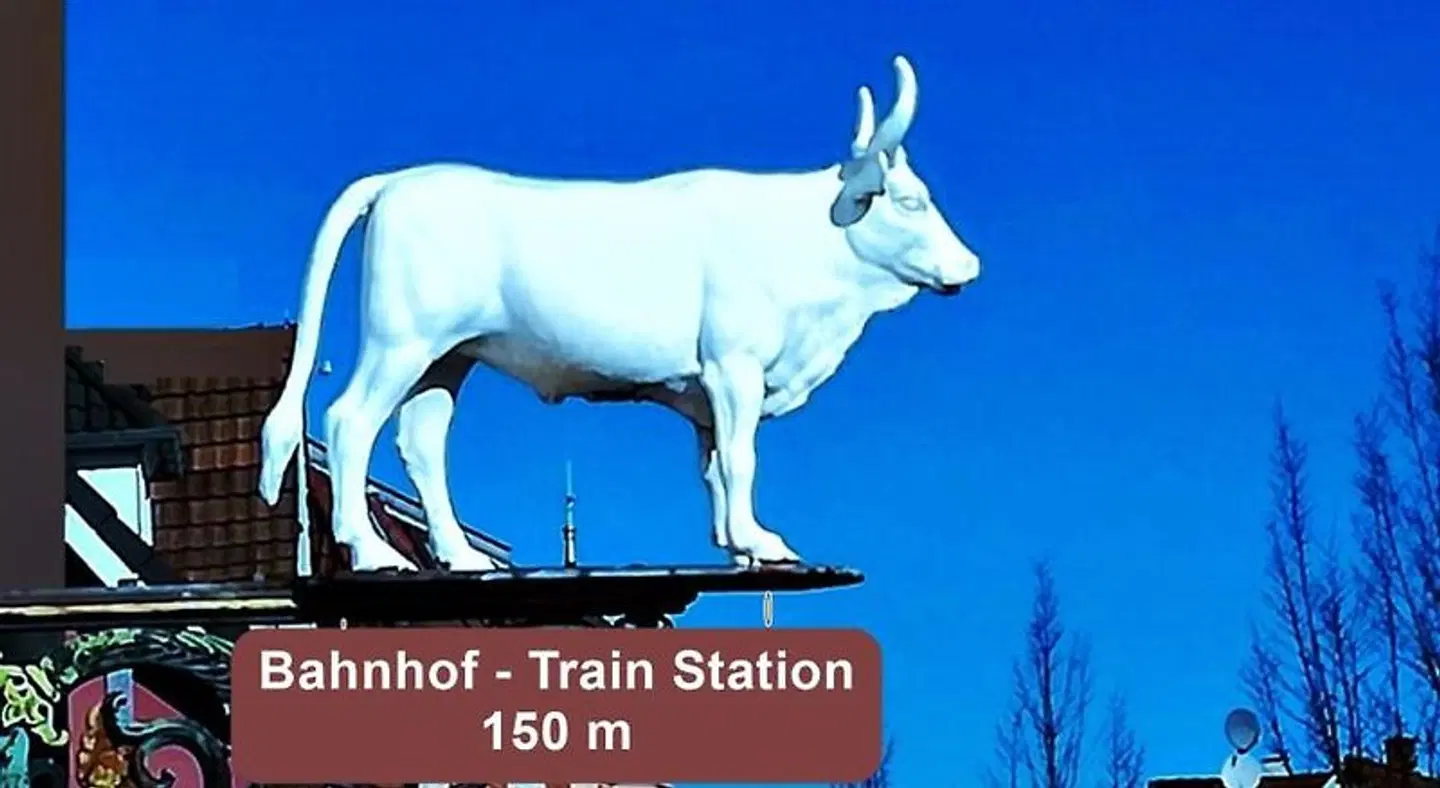Hotel zum Weissen Ochsen Tiere