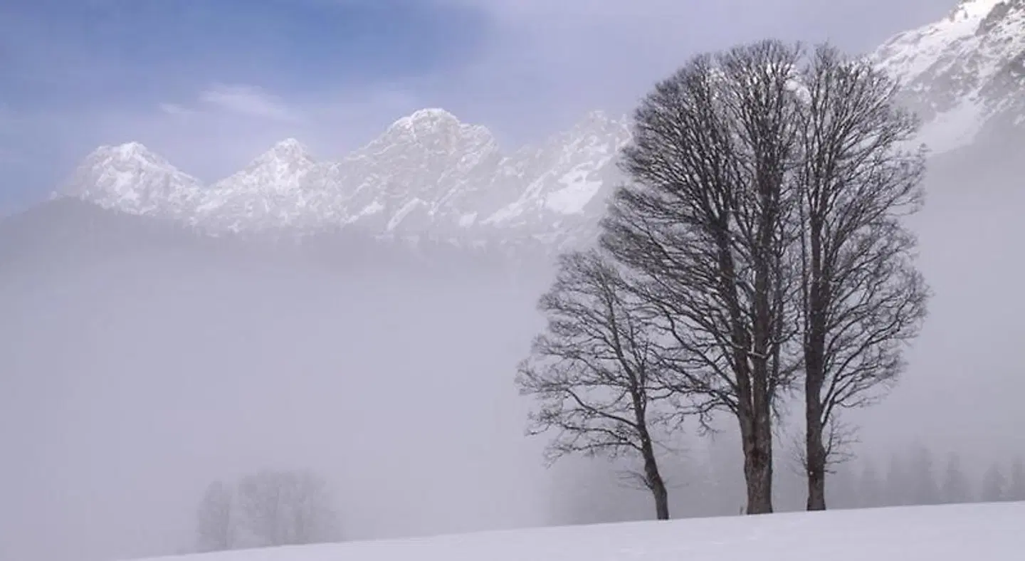 Bergführerhaus LANDSCAPE